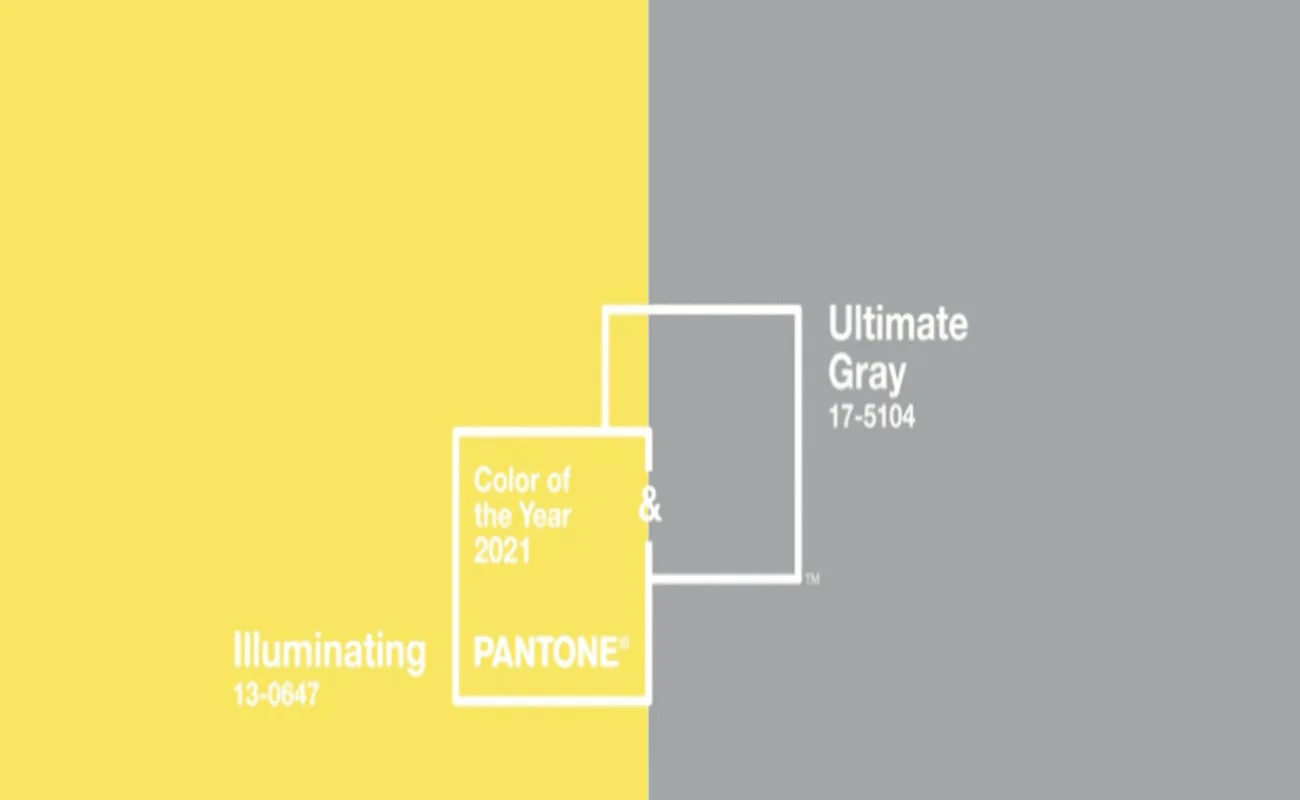 pantone 2021 (Gray & shining colors)