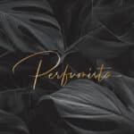 Perfumista | Company Profile Design