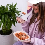 Pronto | Photography